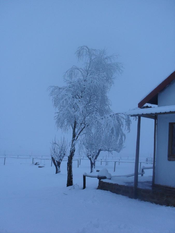 Bed and Breakfast Jen'S Dullstroom Zewnętrze zdjęcie